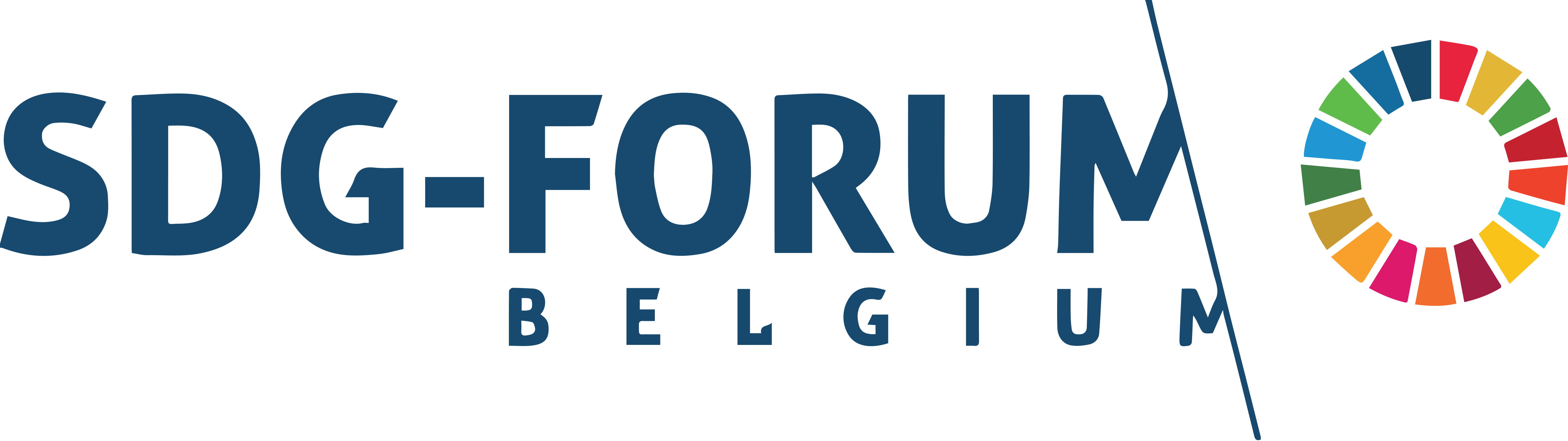 Homepagina SDG Forum